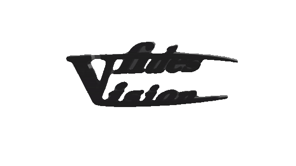 Vision fides